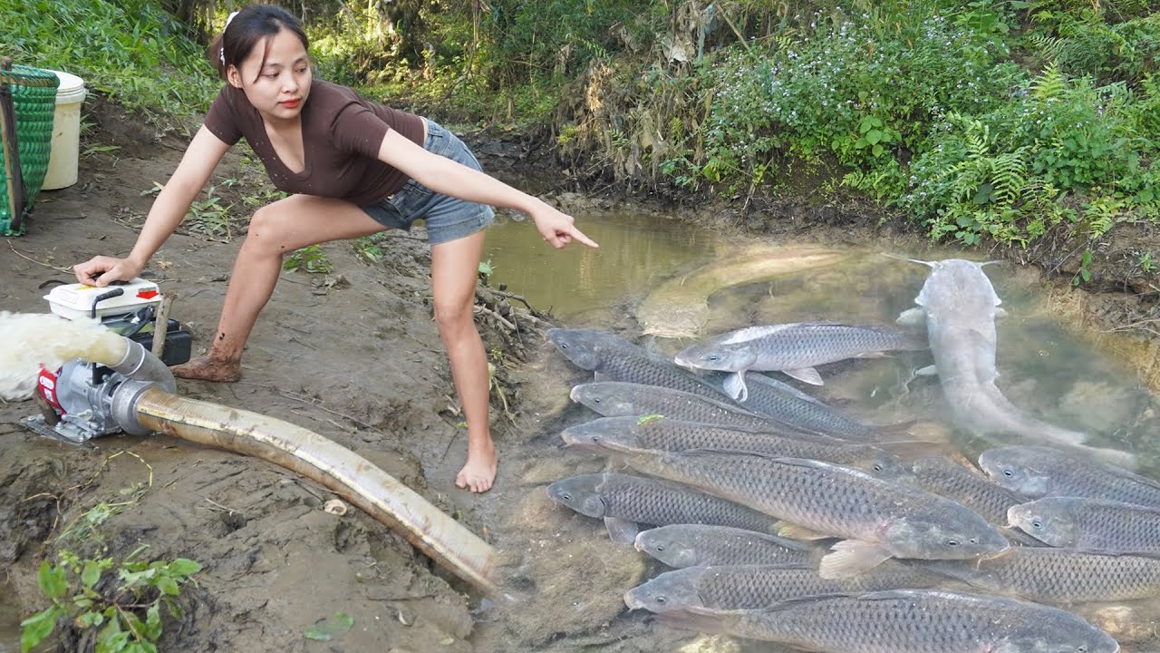 TOP 1 FISHING VIDEO, Survival Fishing In The Forest, Catching A Lot Of Fish, Living Off Grid