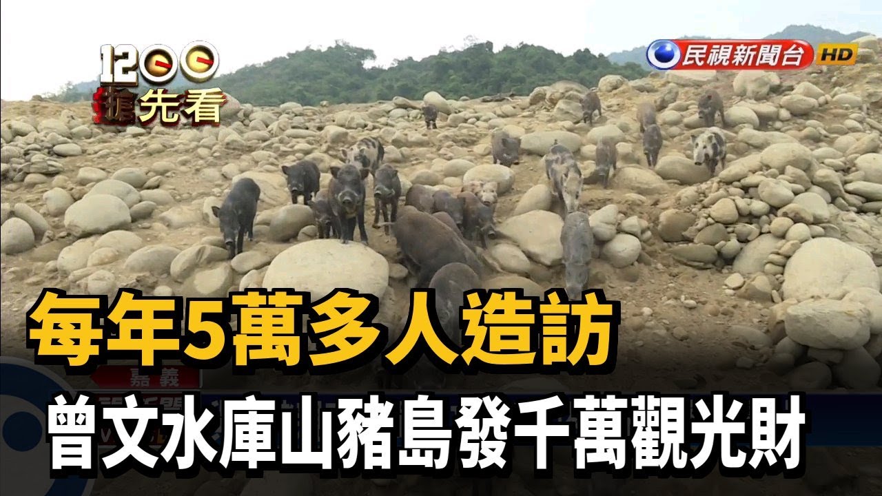 每年5萬多人造訪 曾文水庫山豬島發千萬觀光財－民視新聞
