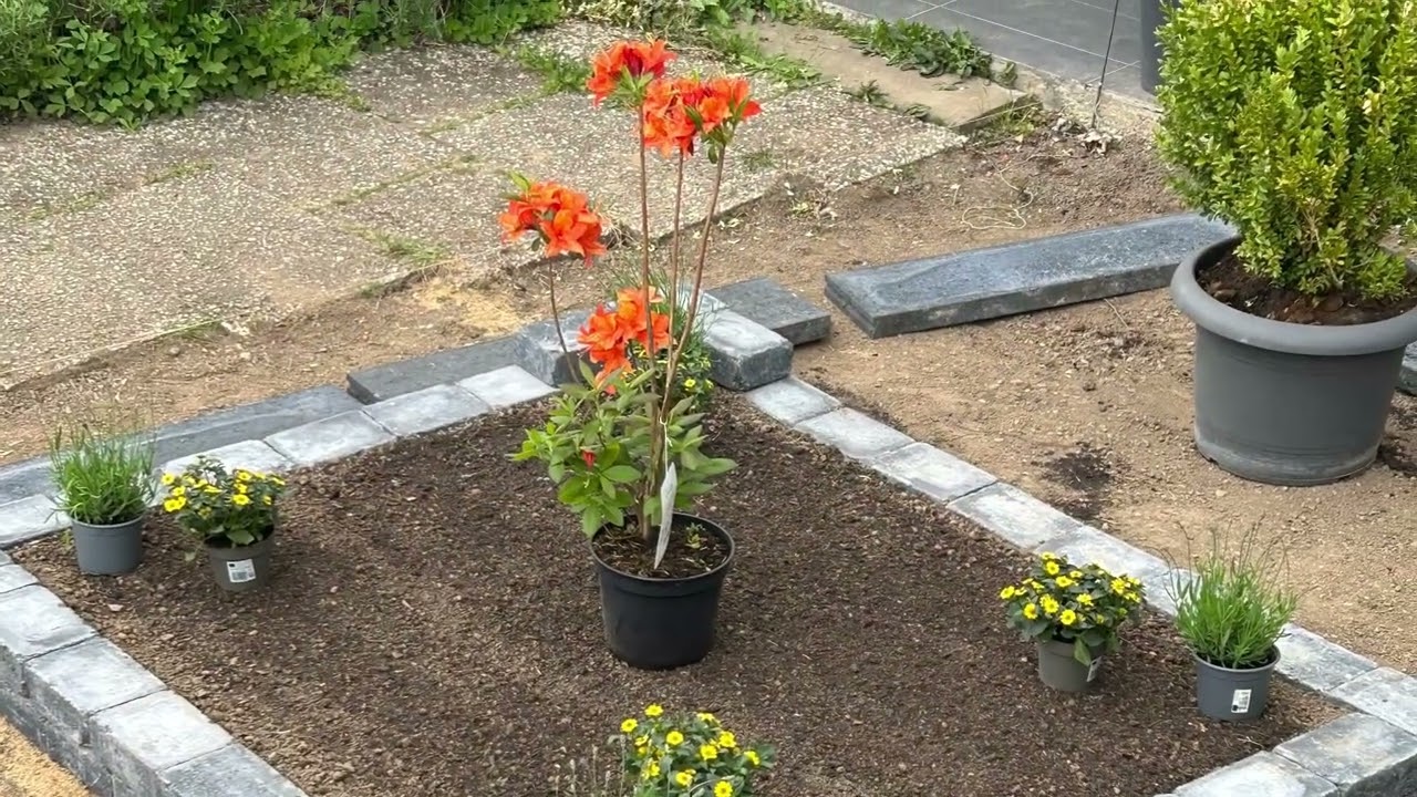  Kertépítés 1. 🌷 Gartengestaltung Teil 1.
