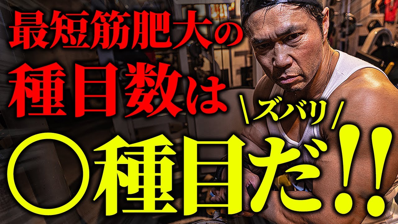 【最初に知りたかった…】最短で筋肥大する種目数は、ズバリ○種目だ!!