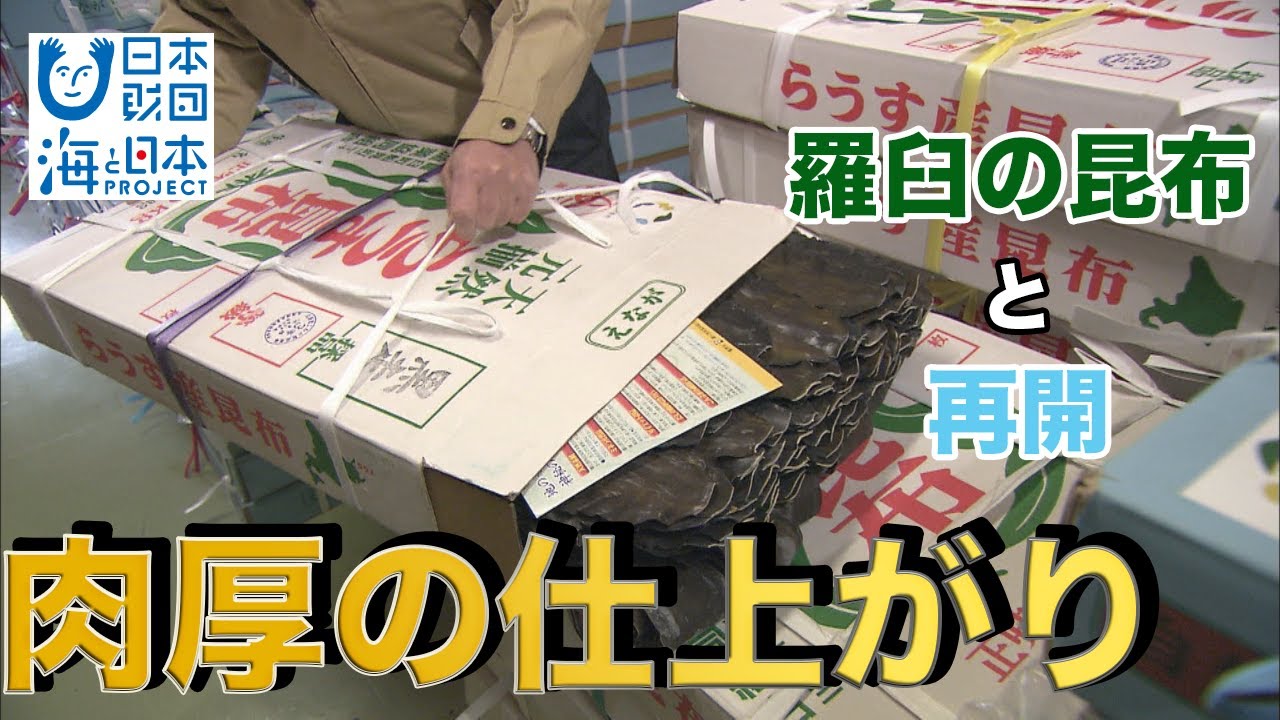 【あのときの（？）昆布と再会！】厚みがすごい 日本財団 海と日本PROJECT in 富山県 2021 #55