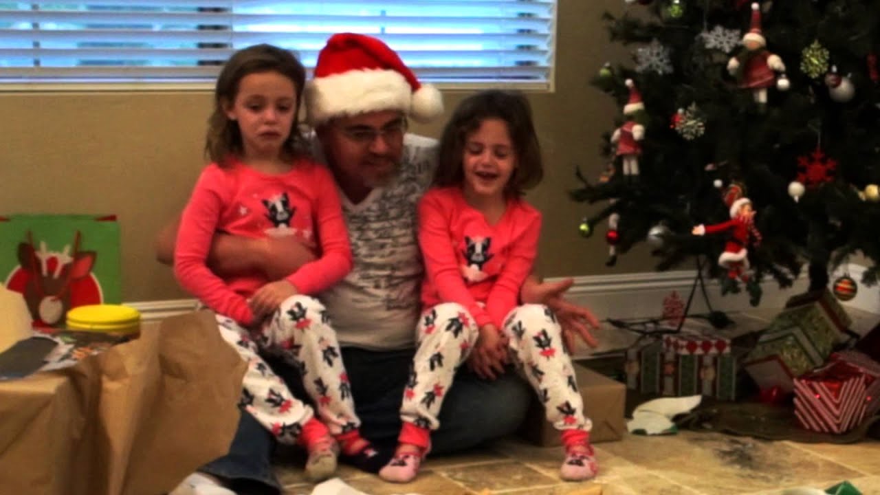 Christmas Puppy Surprise 2015
