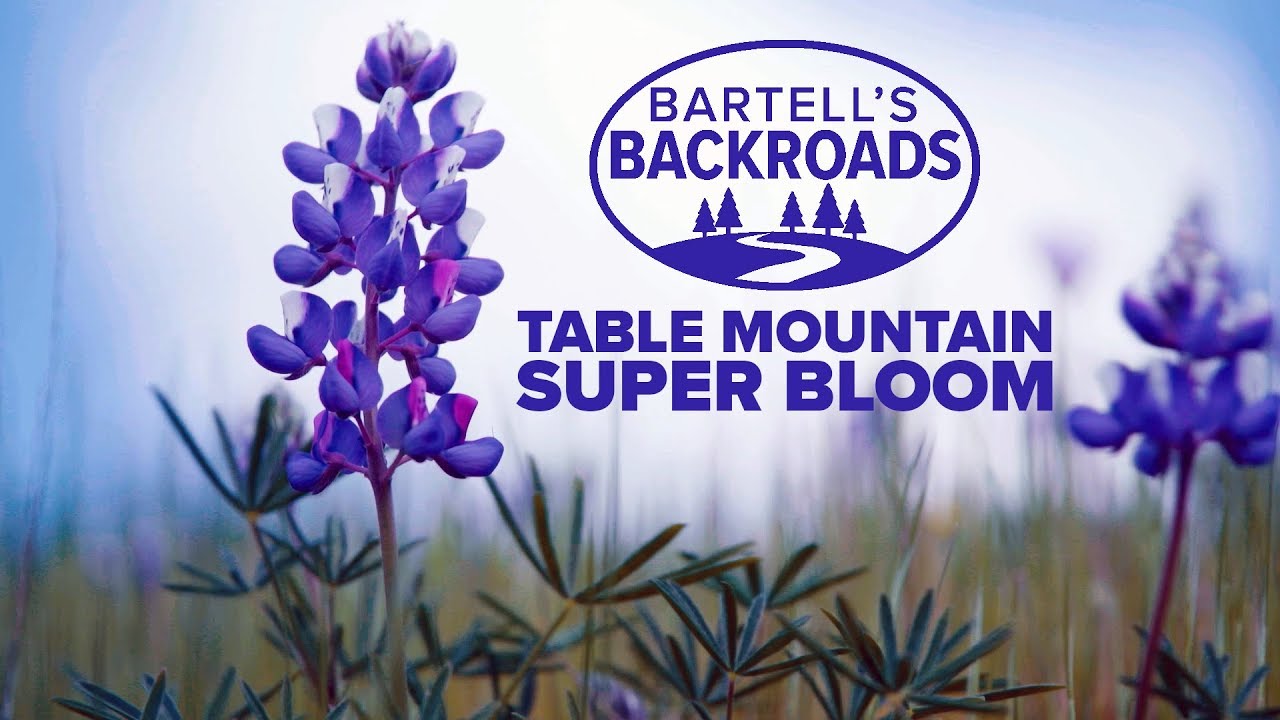Kaleidoscope of color on Table Mountain | Bartell's Backroads