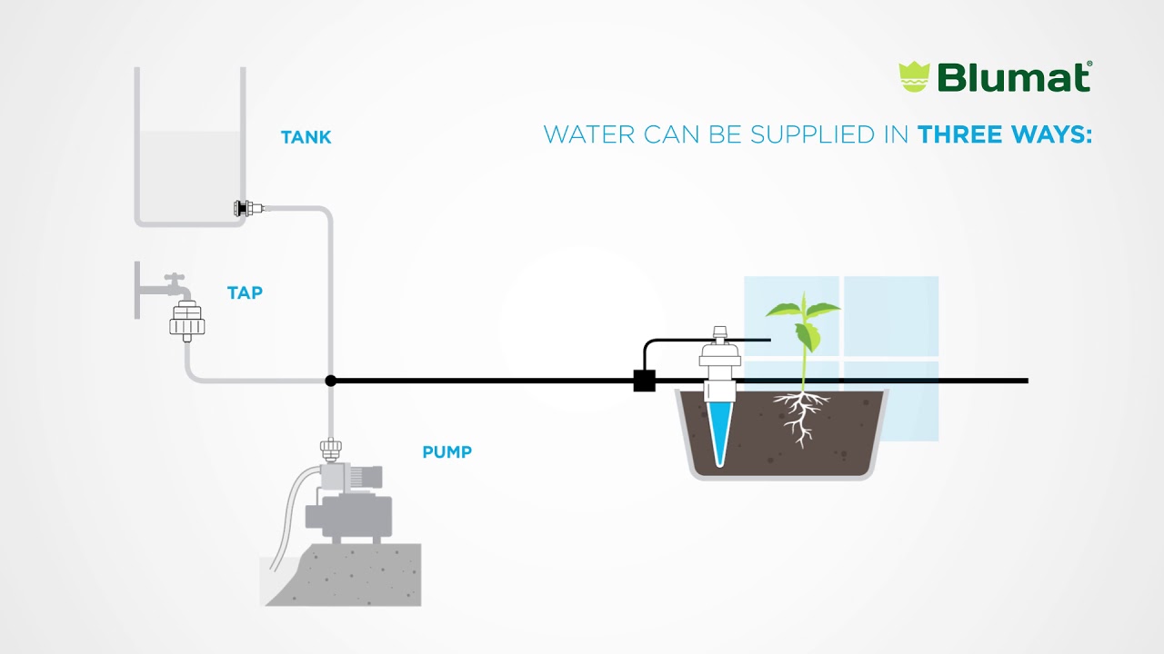 Blumat Water Connection Pump