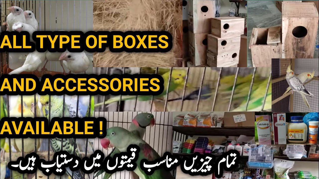 TOLLINTON MARKET ALL TYPE BOXES| NESTING MATERIALS |ACCESSORIES| BIRDS AVALIBALE|2-9-2021|