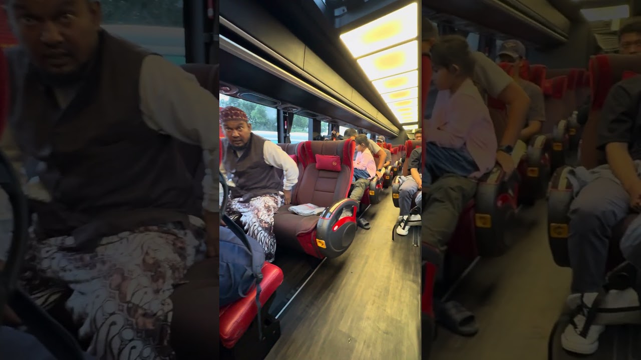 Very luxury executive class Mtrans bus #shorts #videobus #mtrans #busmania