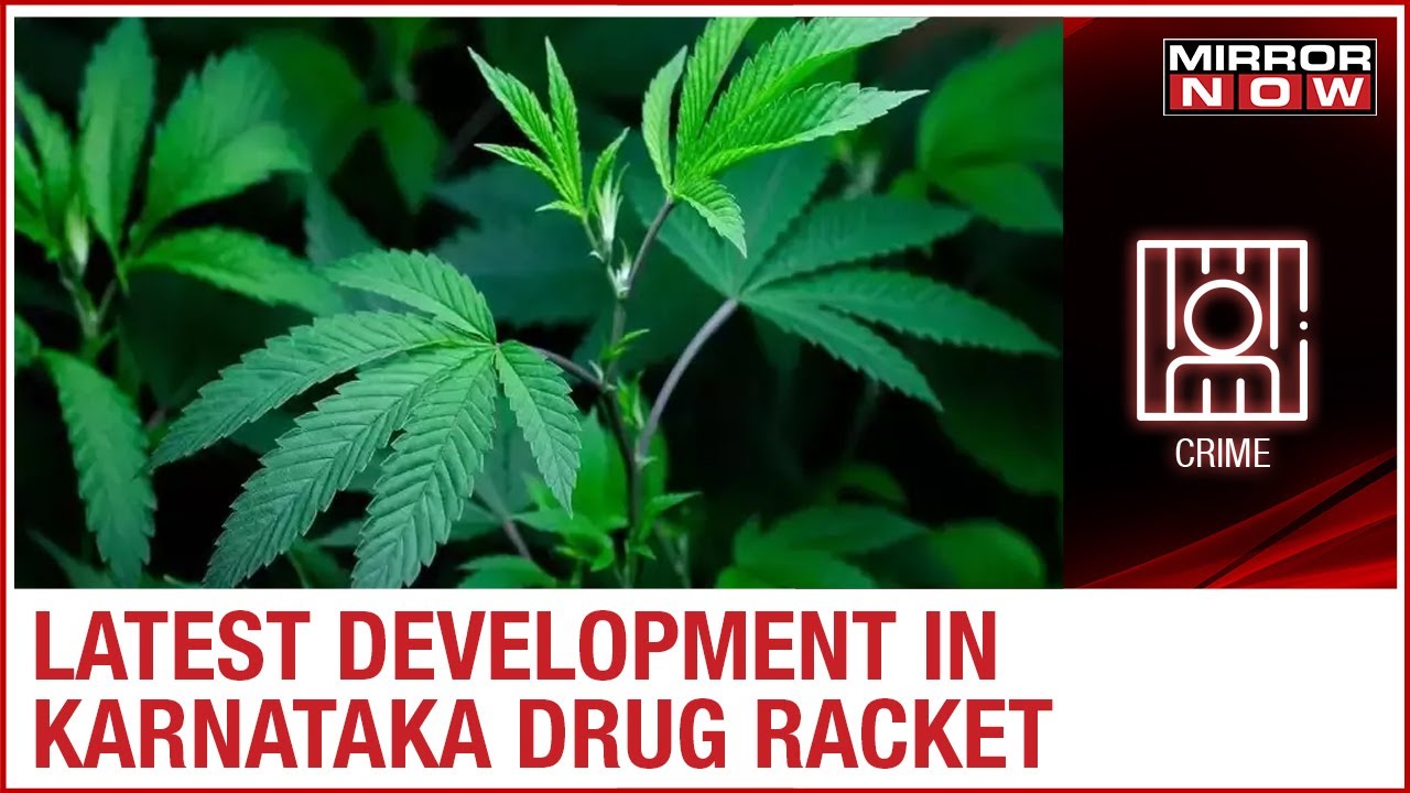 Karnataka Drugs Racket: African national arrested by Bengaluru CCB; 5th arrest in sandalwood case