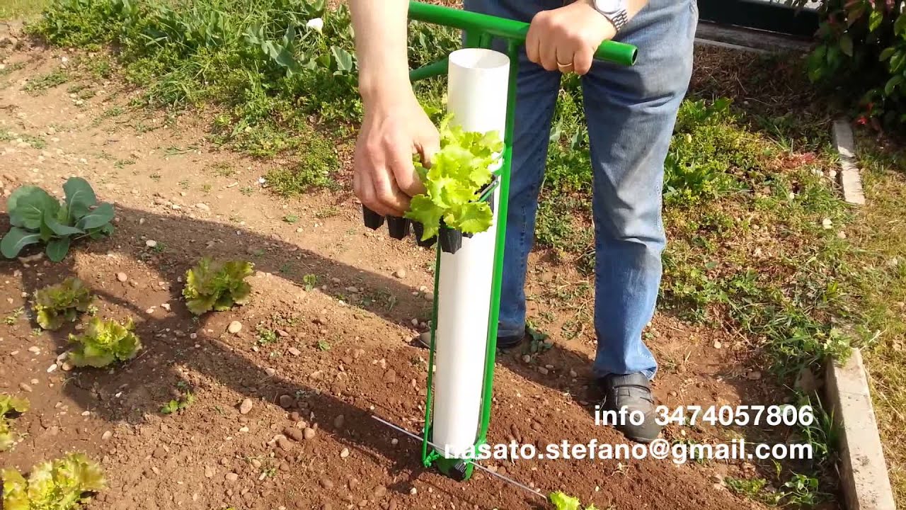 Trapiantatrice Bulbi e Piantine