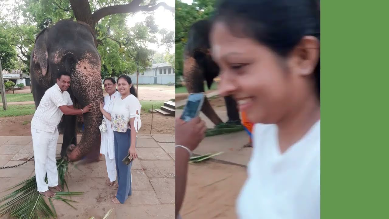 යමු සෙල්ල කතරගම.....#Vedahiti Kanda#Kataragama#KiriVehera#Sella Katharagama