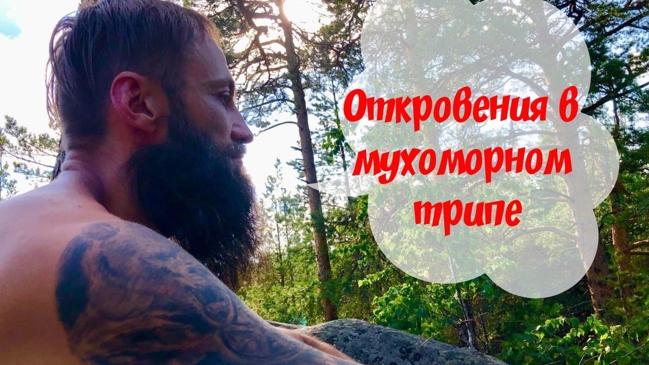 Мухоморный 🍄Трип Фиксирую на камеру. Очутился между двух миров🌍 Реальным и Мухоморным🙏