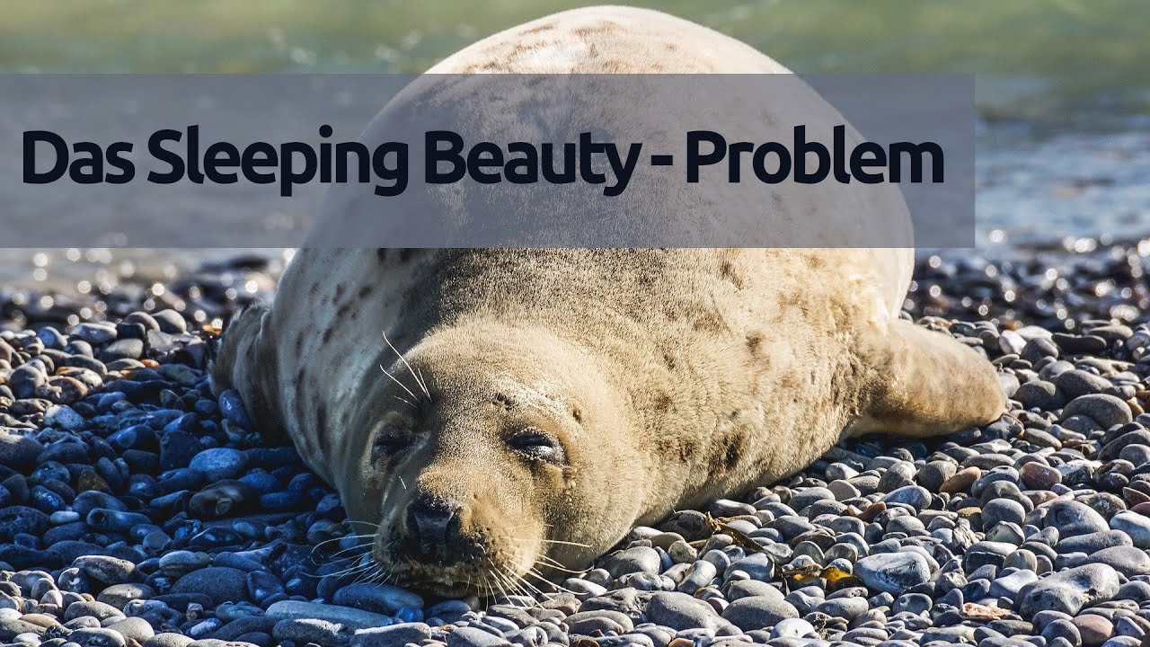 1/2 = 1/3? - Das Sleeping Beauty Problem