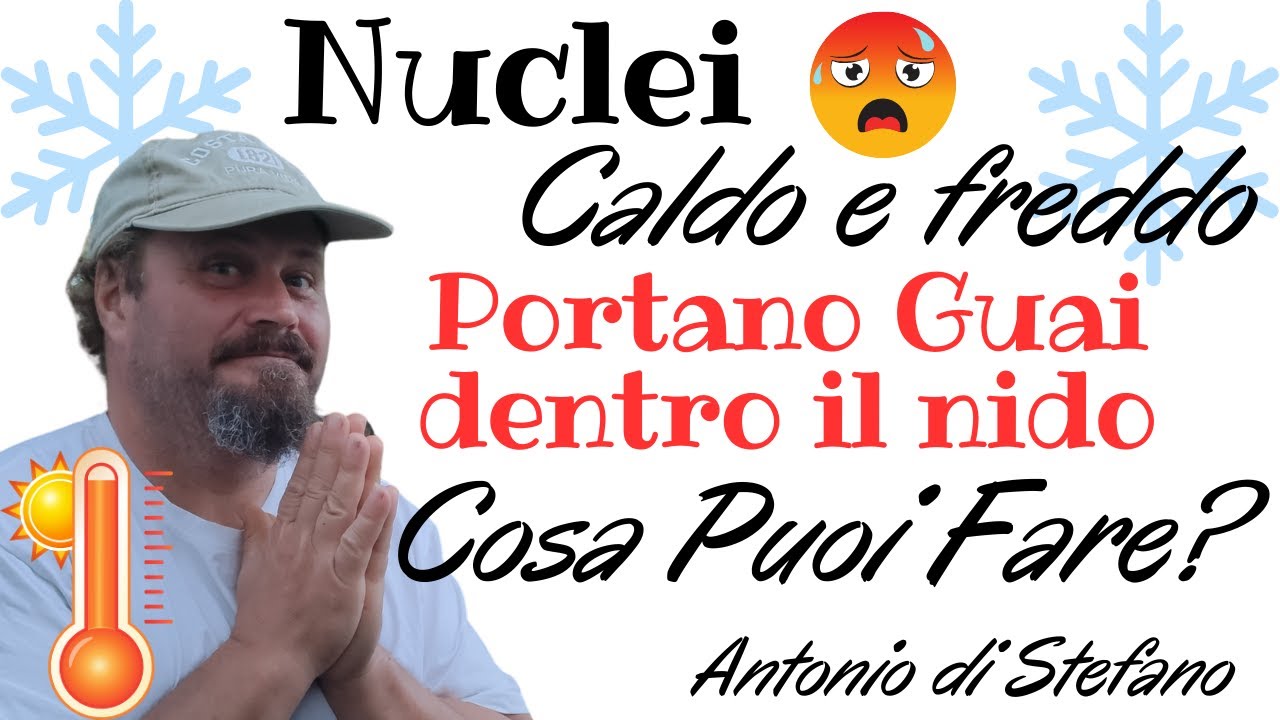 Nuclei Freddo e Caldo creano problemi nel nido, cosa puoi fare e come prevenire Perchè OCCHI aperti