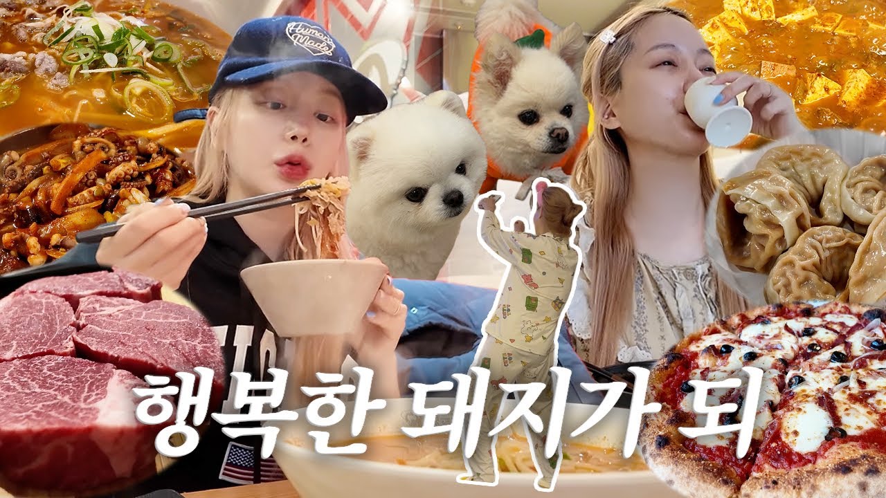 vlog | 행복한 돼지가 되 | 오늘도 4차 기본.. | 강아지 새로운 식구!? | 매운 쭈꾸미 | 얼큰 쌀국수 | 화덕피자 맛집 | 집밥 | 얼큰 김치찌개&용가리&떡갈비