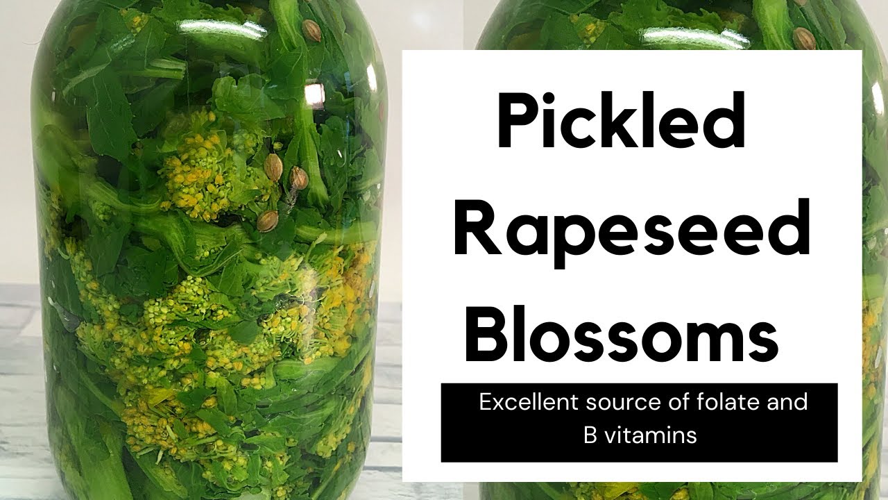 PICKLED RAPESEED BLOSSOMS (NANOHANA)