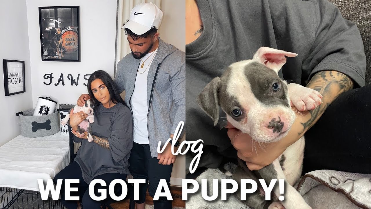 WE GOT A BLUE NOSE PITBULL! | prepping for a puppy needs & must haves
