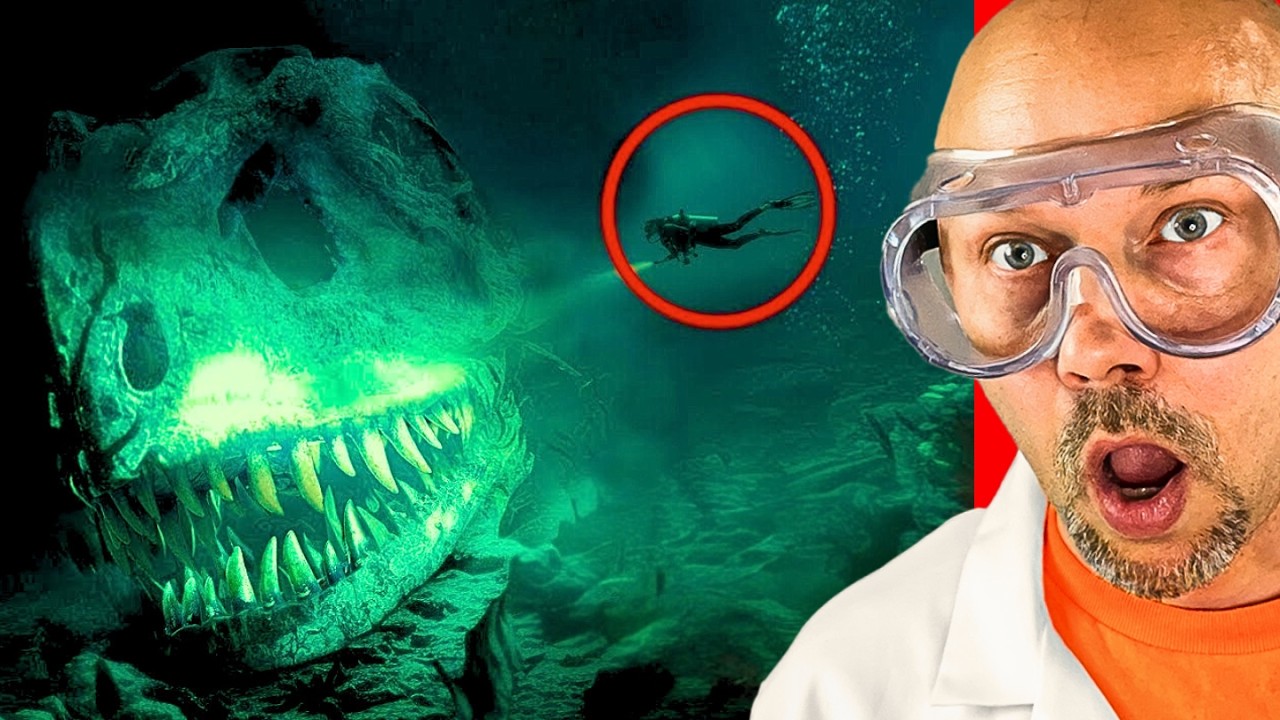 The most strange sea creatures ever found