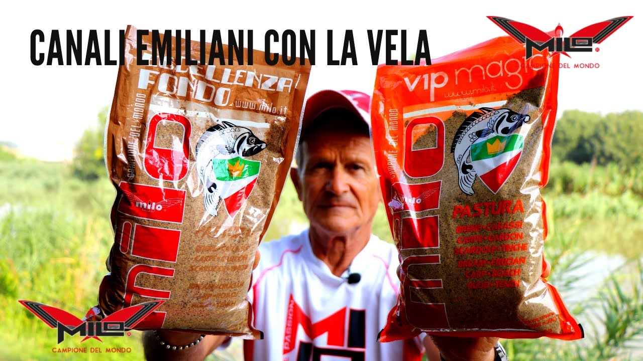 MILO TV - Pasture da Carassi per la Pesca in Roubaisienne a Vela