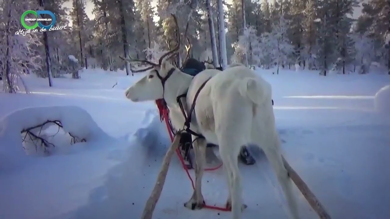 Reisverslag Lapland
