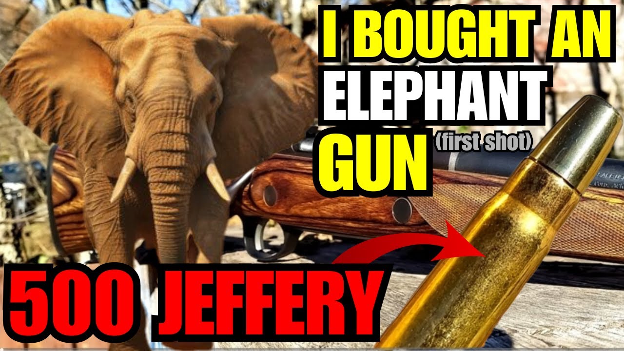 First Time Shooting My Elephant Rifle...
