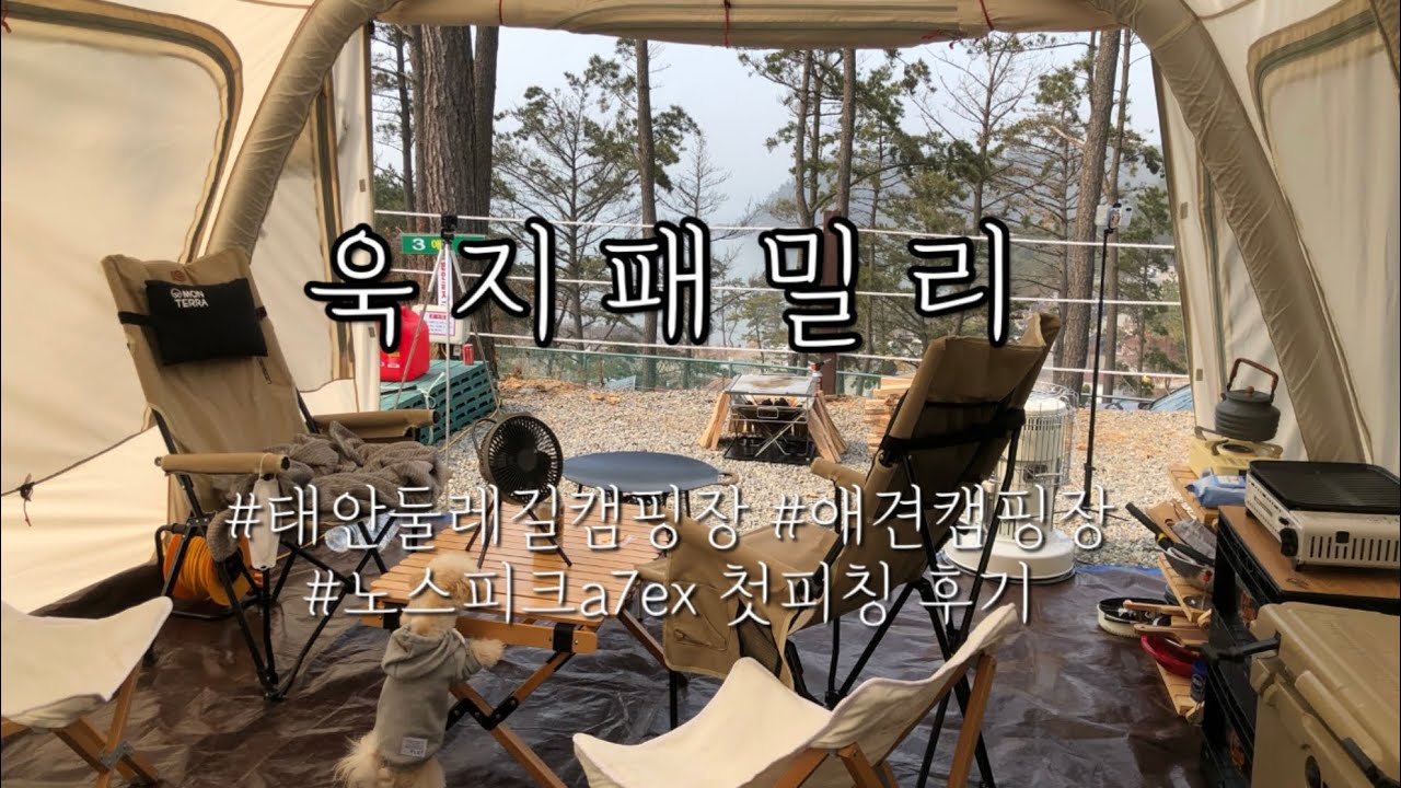 [욱지콩] 애견동반캠핑 / 노스피크 A7ex 소이밀크 피칭 / 태안둘레길캠핑장 🏕