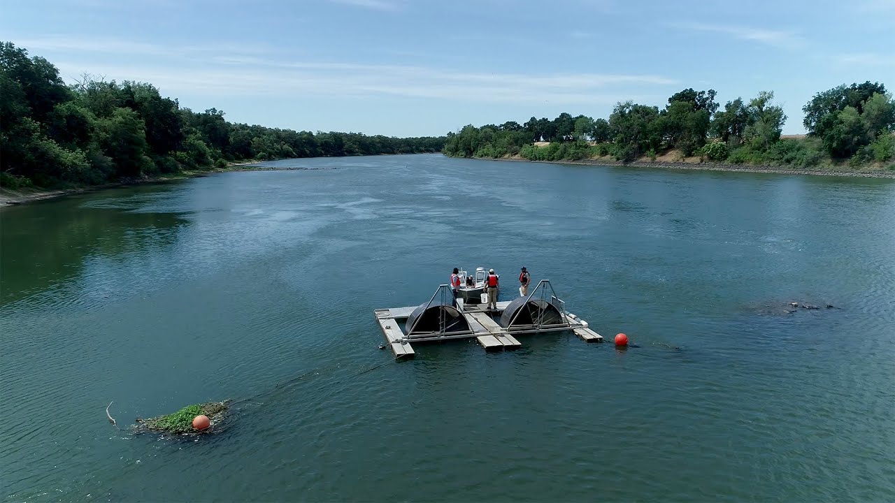 Monitoring California's Spring Run Chinook Salmon