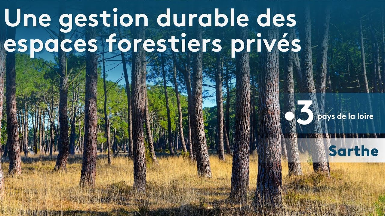 Sarthe : une gestion durable des espaces forestiers priv&eacute;s