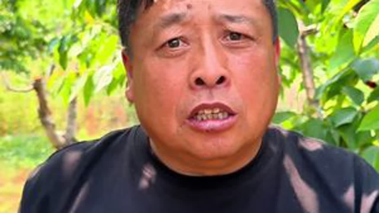 桑葚采摘 樱桃采摘 #我为家乡农产品代言 #我的乡村生活