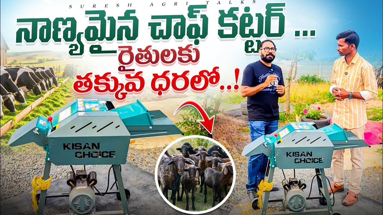 #dairyfarm గొర్రెలు, ఆవులు & గేదెలకు బెస్ట్ చాఫ్ కట్టర్!!#viralvideo 
