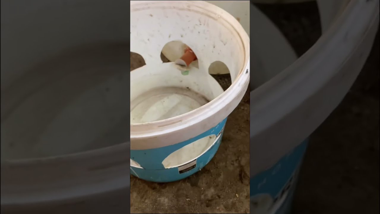  BASİT VE DEVASA KAPASİTELİ! 🐔 30 LİTRELİK OTOMATİK TAVUK SULUĞU YAPIMI (Boya Kutusu Yöntemi) 🐓 
