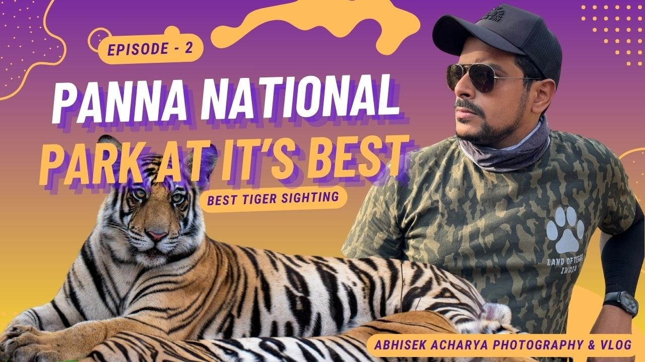 Is Panna Tiger Reserve the BEST Place to See Tigers Up Close?