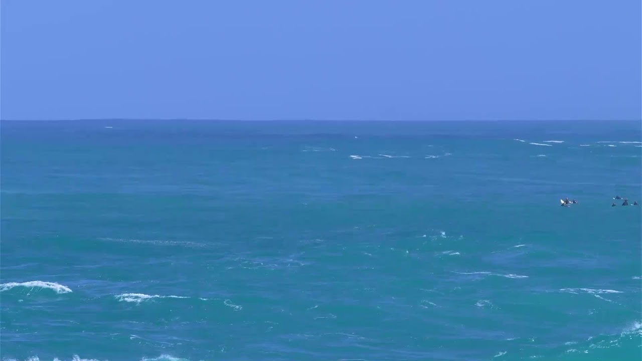 WAIMEA BAY XXXL 2/4/26