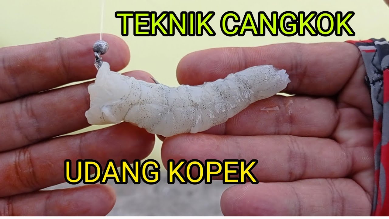 #REVIEW BERKONGSI TIP CARA2 MENGUNAKAN UDANG KOPEK UNTUK LAYAN #SNIPER  #JENAHAK #KERAPU #GROUPER