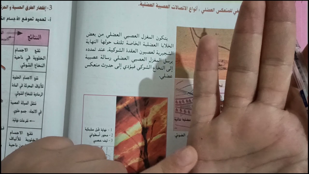 ثانية ثانوي: الدرس2😍الدعامة التشريحية المنعكس العضلي