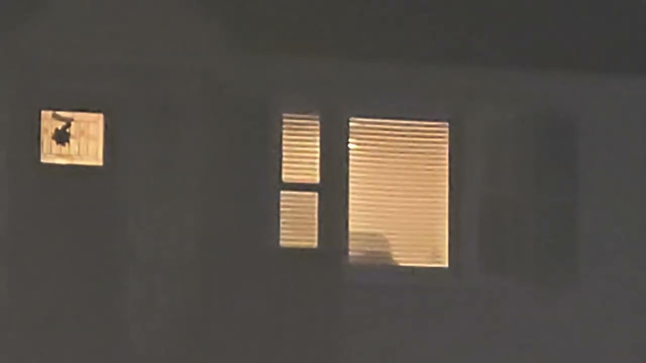 Uh neighbor u good