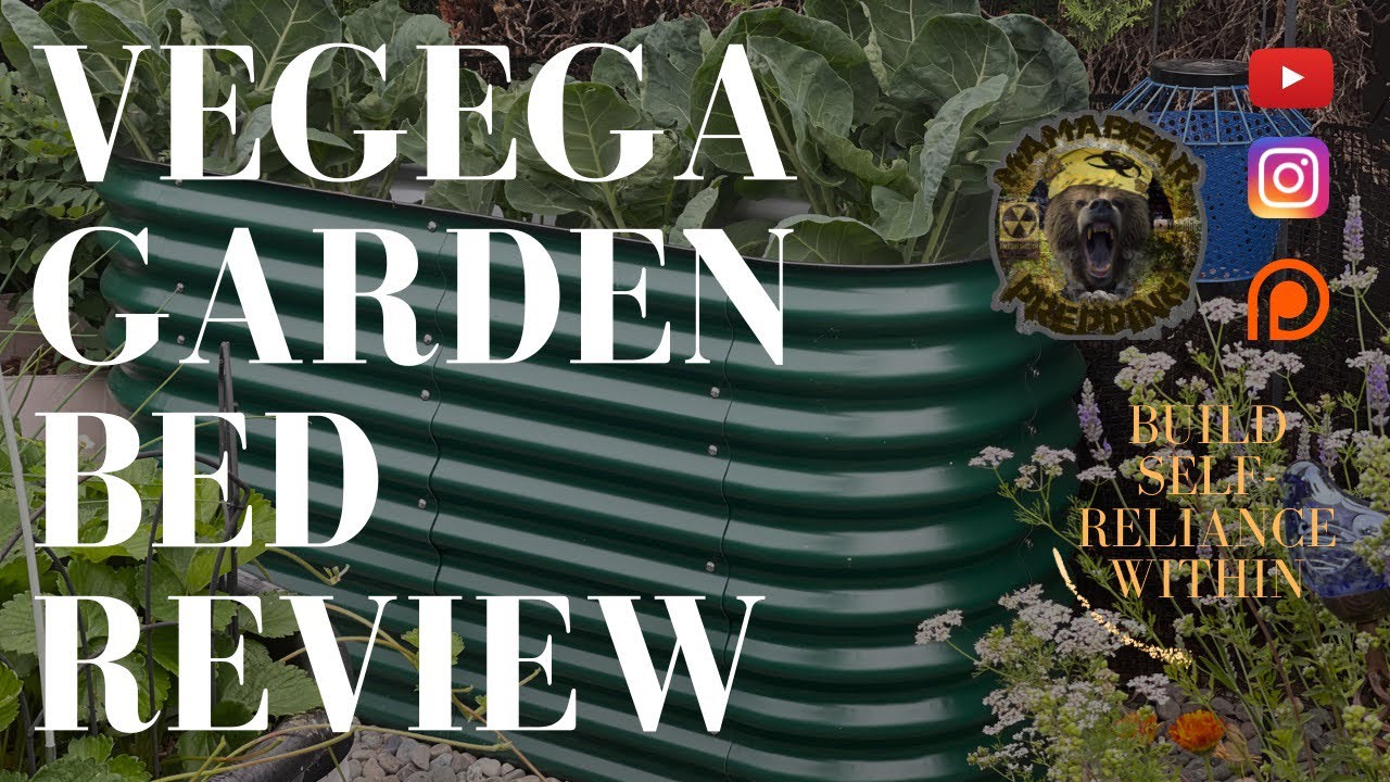 VEGEGA GARDEN BED REVIEW (MAMABEAR PREPPING DISCOUNT)