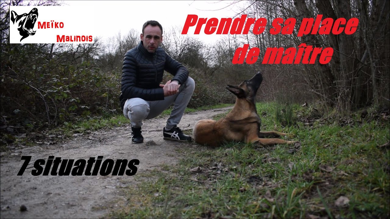 Etre un Leader pour son chien !!!