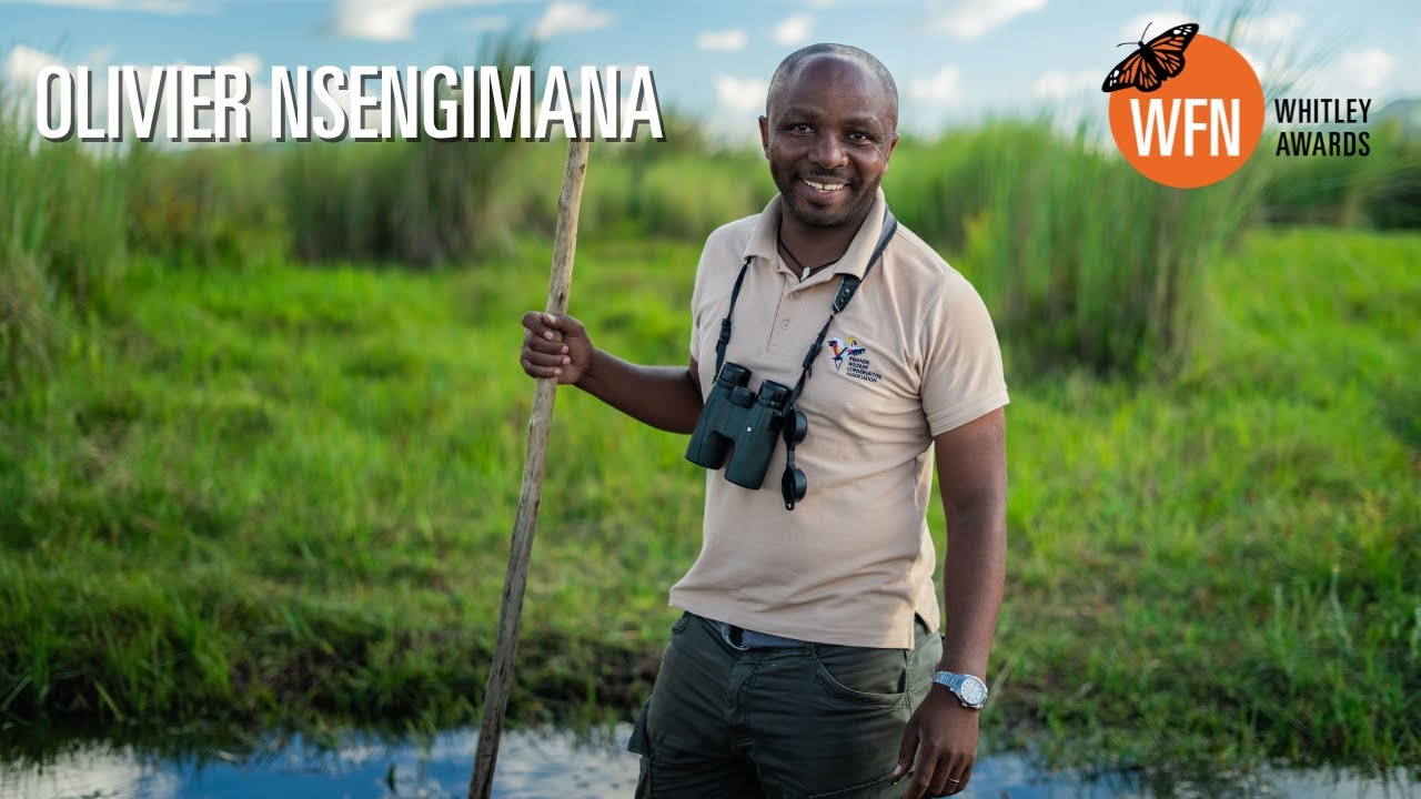 Olivier Nsengimana | 2025 Whitley Gold Award winner | Rwanda