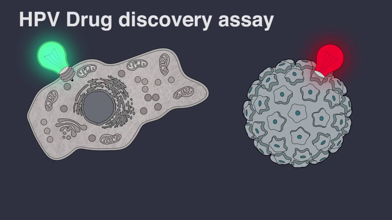 HPV drug discovery assay Icosagen
