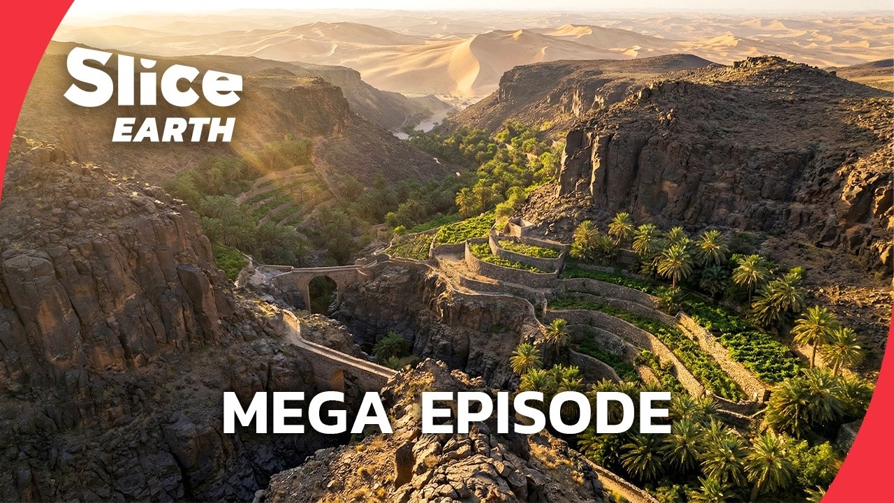 Mega Episode: How to Build an Oasis in the Deadliest Desert | SLICE EARTH