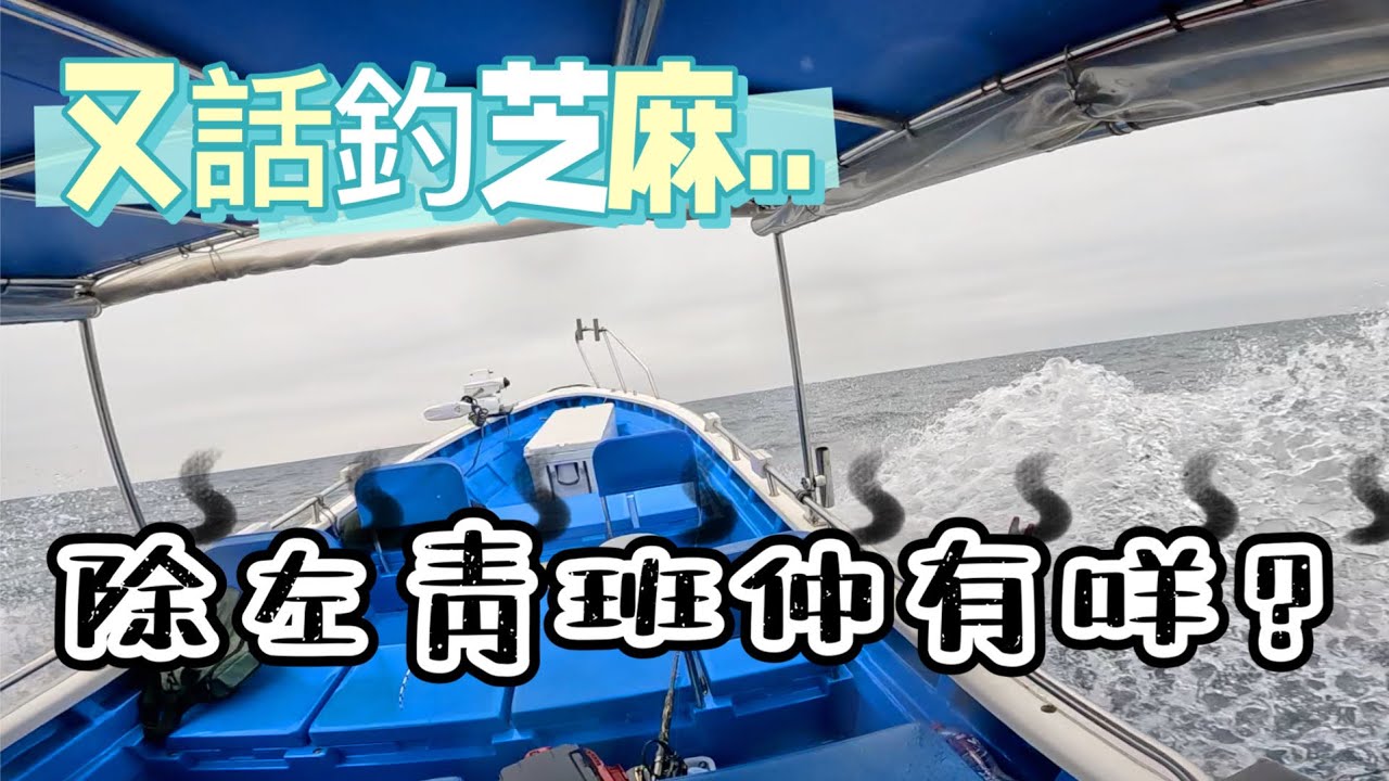 又搵，又搵唔到，好彩埋尾幾個位入返幾粒🤫|港人眼鏡-深圳眼鏡推介｜#啊濤 #fishing #香港釣魚