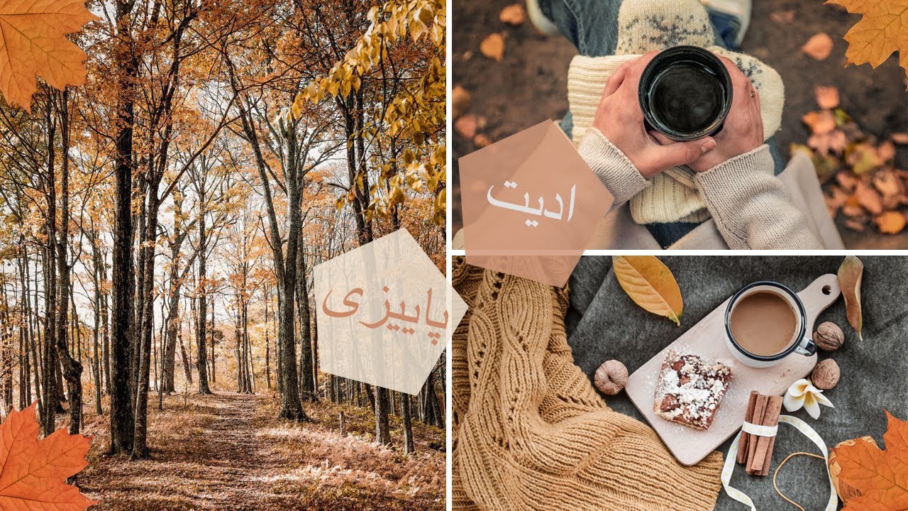 ادیت پاییزی