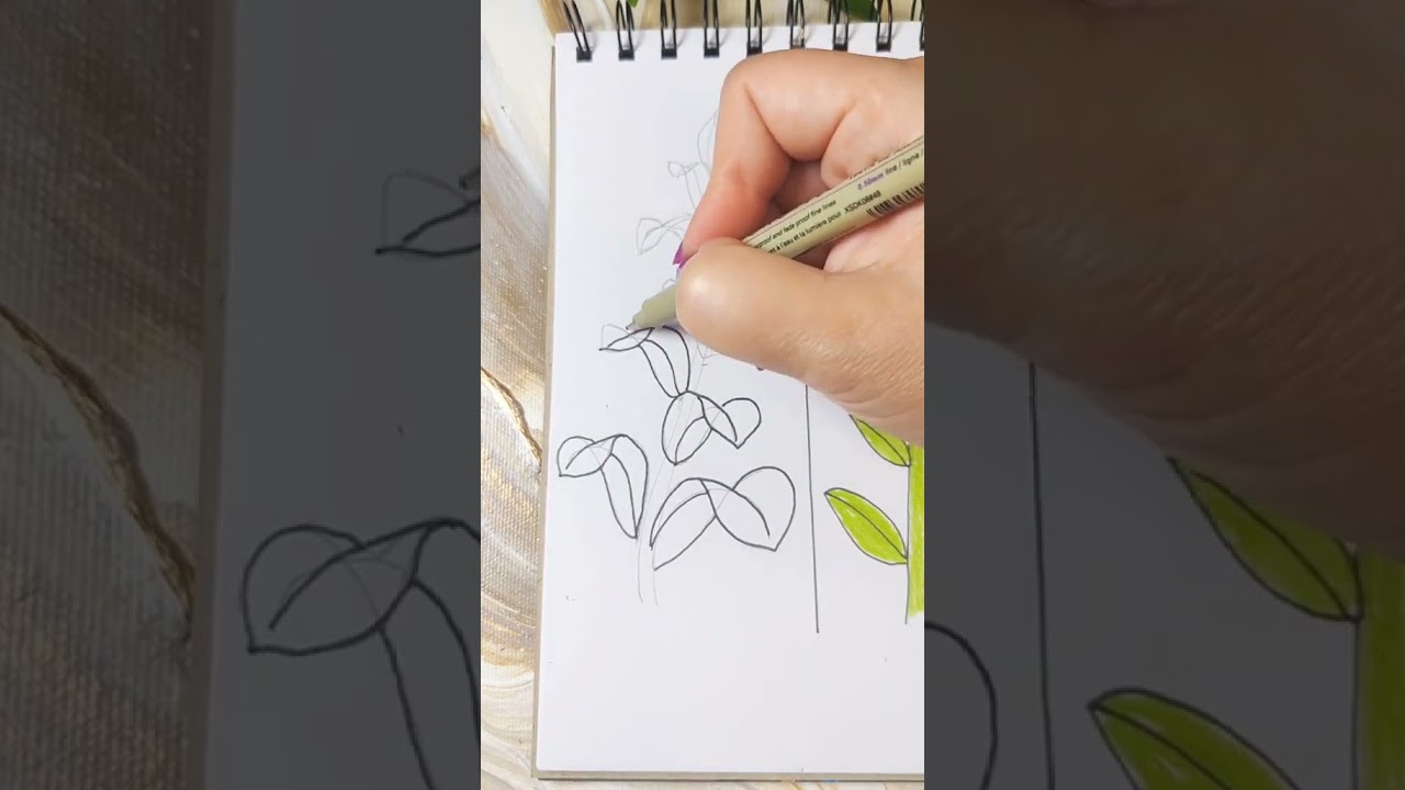 Realistick&eacute; listy farbičkami 🌱#artmie #arttutorial #howtodraw #howtodrawing #leaf #colorpencils #art