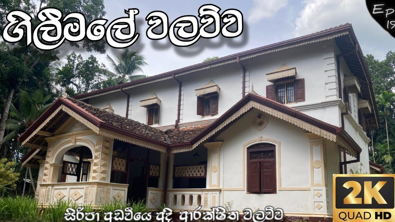 සිරිපා අඩවියෙ අදී ආරක්ෂිත වලව්ව 👁️‍🗨️ | Gilimale walavva Rathnapura @MagaSoyanno/ 2k#travel 