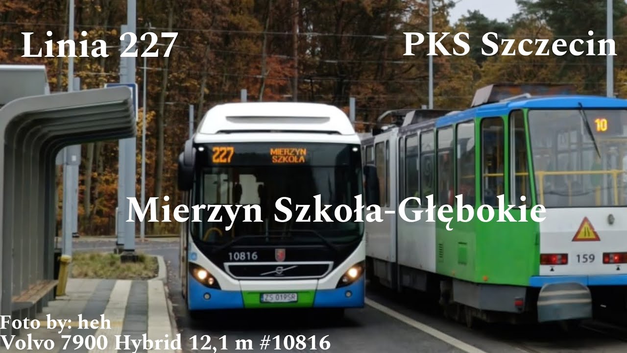 Szczecin Linia 227 Mierzyn Szkoła-Głębokie Volvo 7900 Hybrid 12,1 m #10816