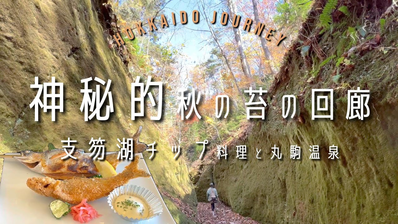 【千歳】神秘的！秋の苔の回廊【北海道】支笏湖の絶品チップ料理と絶景秘湯