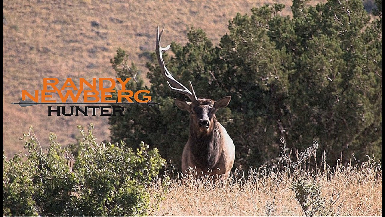 Hunting New Mexico Archery Elk with Randy Newberg (FT S2 E4)