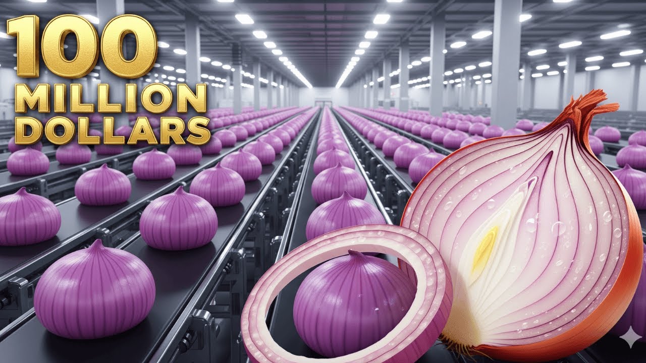 Inside the Largest US Factory: From Raw Onions to Premium Powder (Full Process)