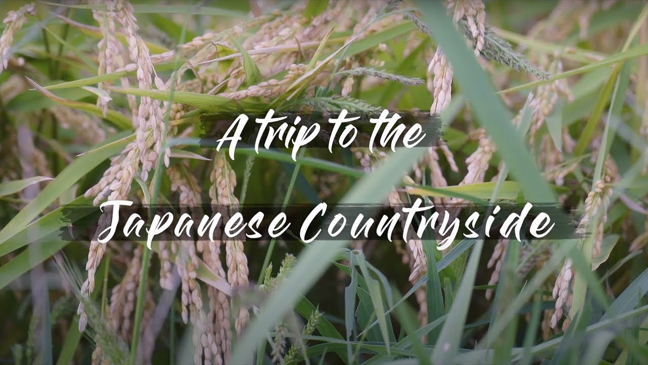 A Trip to the Japanese Countryside