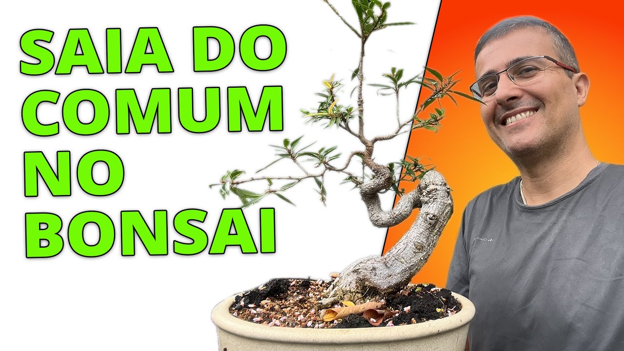 Saia do Comum - Como Fazer um Bonsai Incrível e Diferente!!!