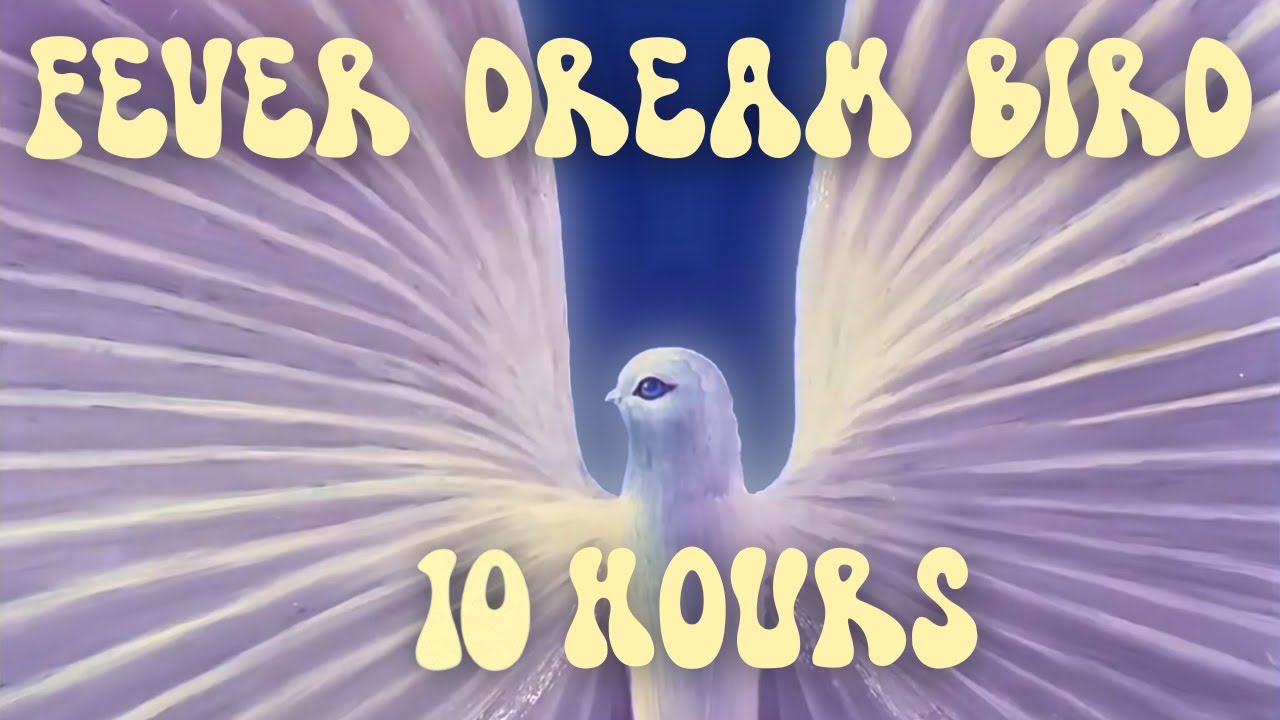Fever Dream Bird 10 Hours